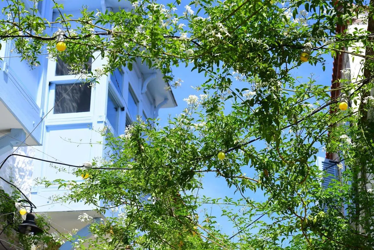 Maison D'Azur Alacati